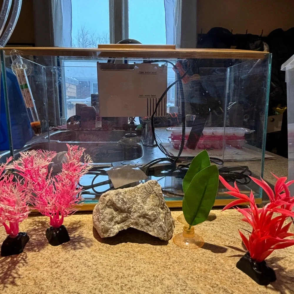 Glass Betta Fish Starting Kit - Picture 3 of 7